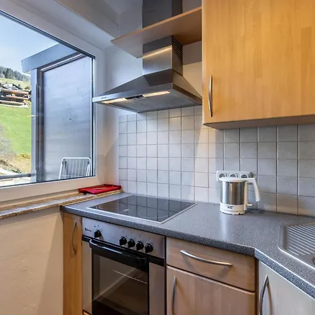 Appartement Ski & Bike * Saalbach-Hinterglemm