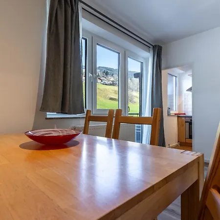 Appartement Ski & Bike * Saalbach-Hinterglemm